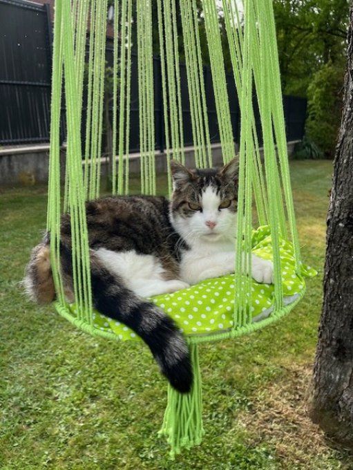 hamac pour chat / Lit suspendu 